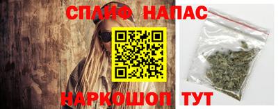 СК Севастополь