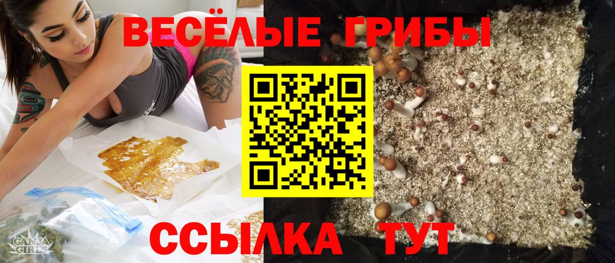 Галлюциногенные грибы мицелий Сальск