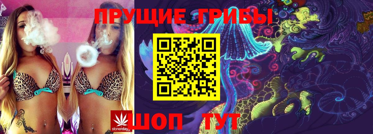 Псилоцибиновые грибы прущие грибы  Вход с VPN  купить закладку  Сальск 